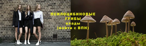 мдма Ельня