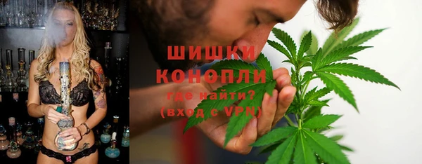 гидропоника Дмитриев