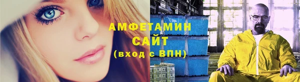 молекула духа Дмитровск