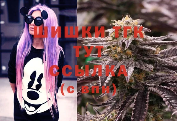 прущие крисы Елизово