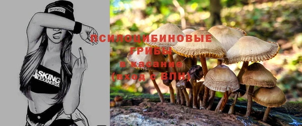 прущие крисы Елизово